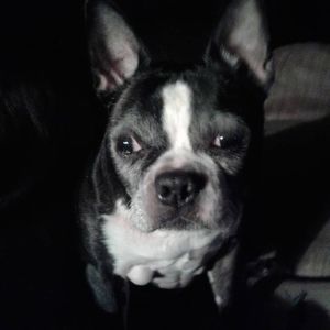 Meet your Posher, Cheryl